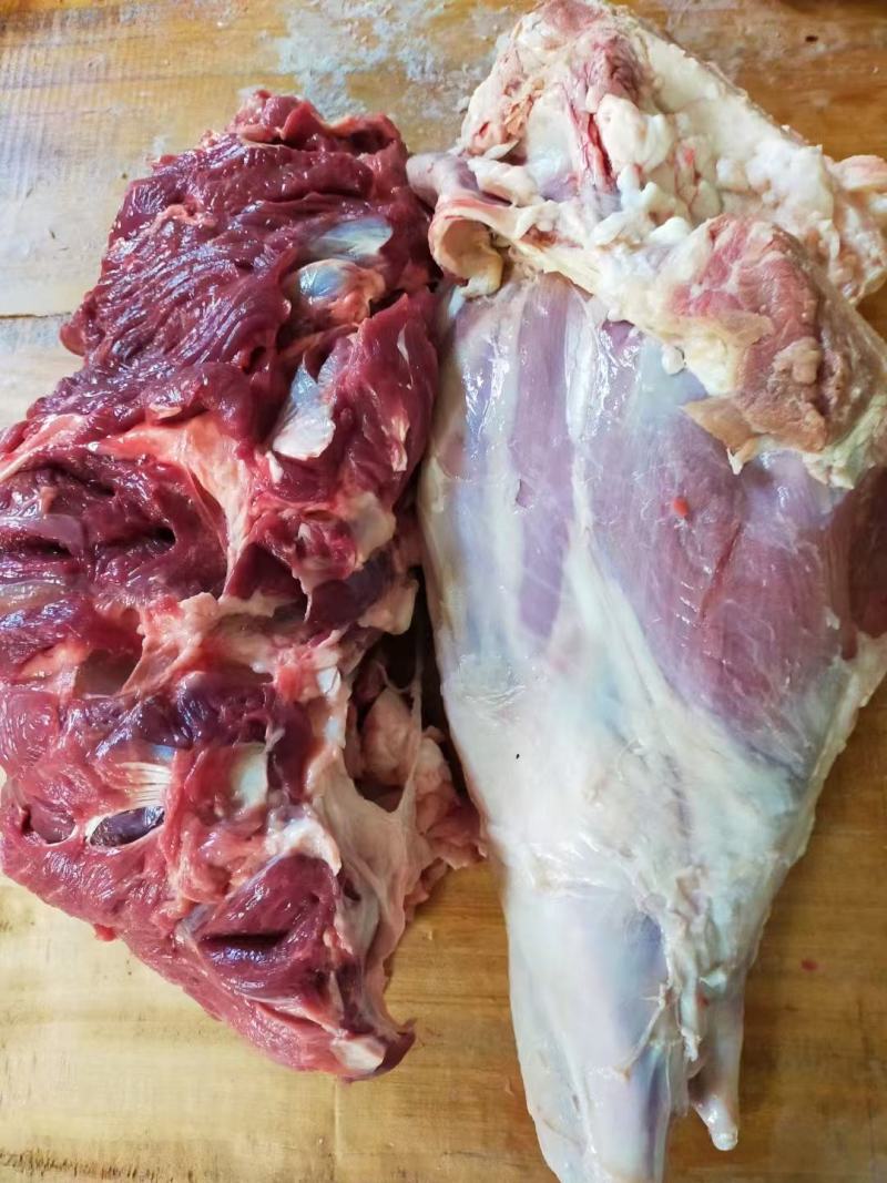 剔骨带皮羊肉，带皮羊肉，感兴趣的欢迎光临！量大从优。
