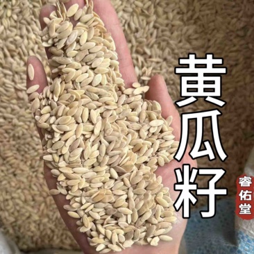 黄瓜籽黄瓜子炒黄瓜籽实拍干净无臭味