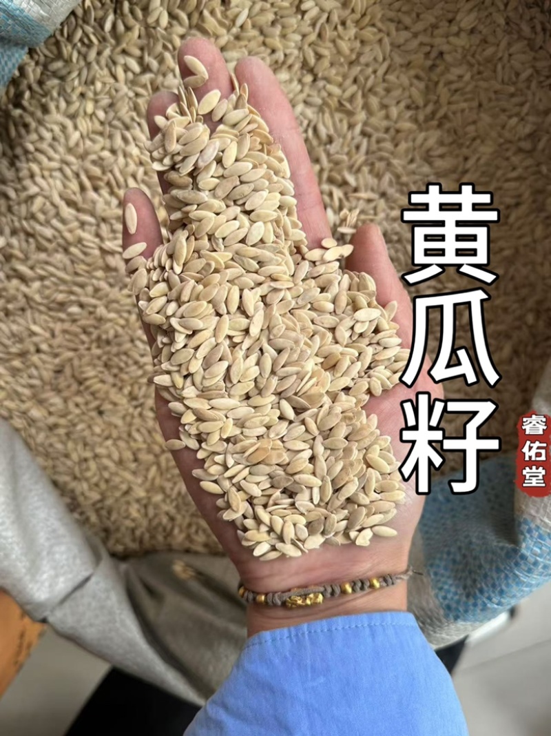 黄瓜籽黄瓜子炒黄瓜籽实拍干净无臭味