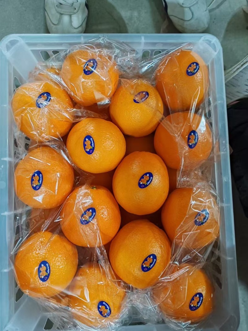 纽荷尔橙子，外贸出口电商，团购，市场分规格调货