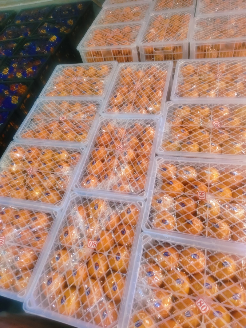 纽荷尔橙子，外贸出口电商，团购，市场分规格调货