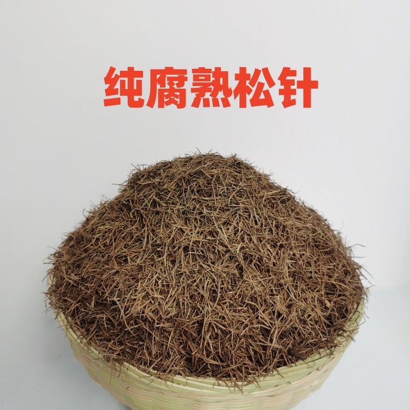 落叶松针/天然腐熟松针/无土松针/干松针/松叶针/松毛