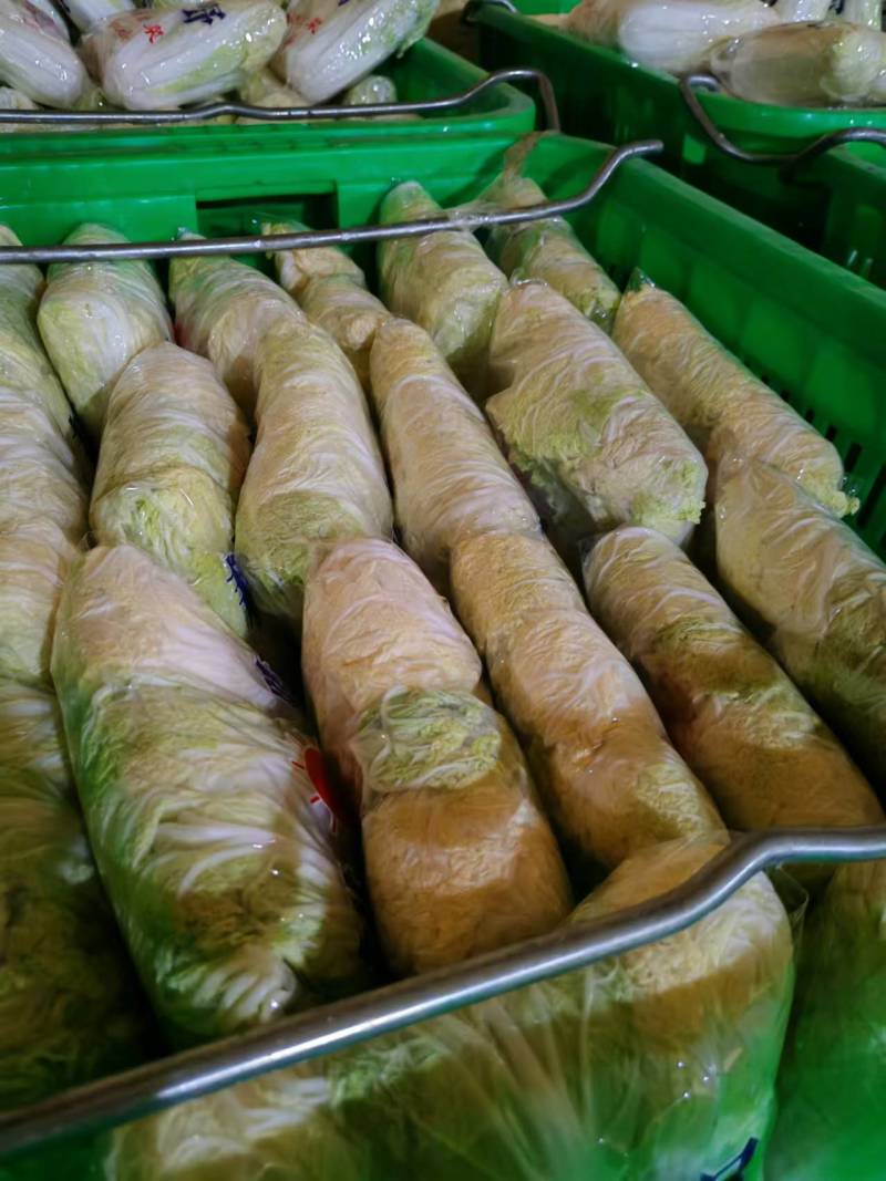 黄心大娃娃菜精品娃娃菜保质保量支持视频看货欢迎订购