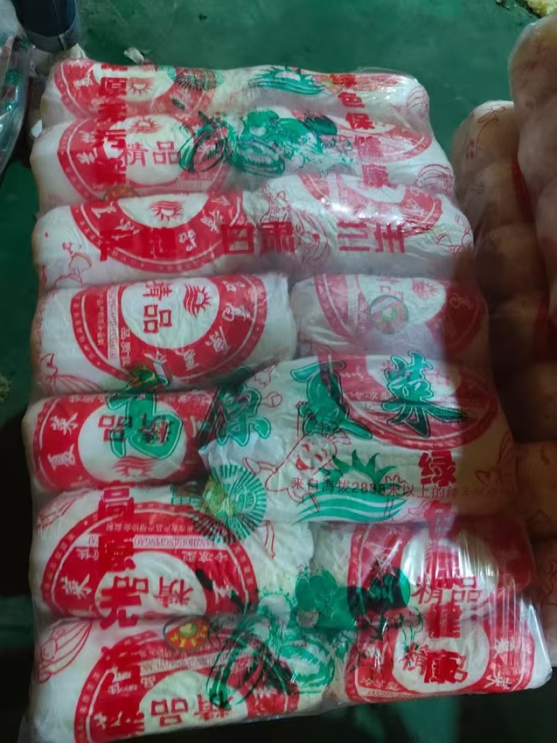 黄心大娃娃菜精品娃娃菜保质保量支持视频看货欢迎订购