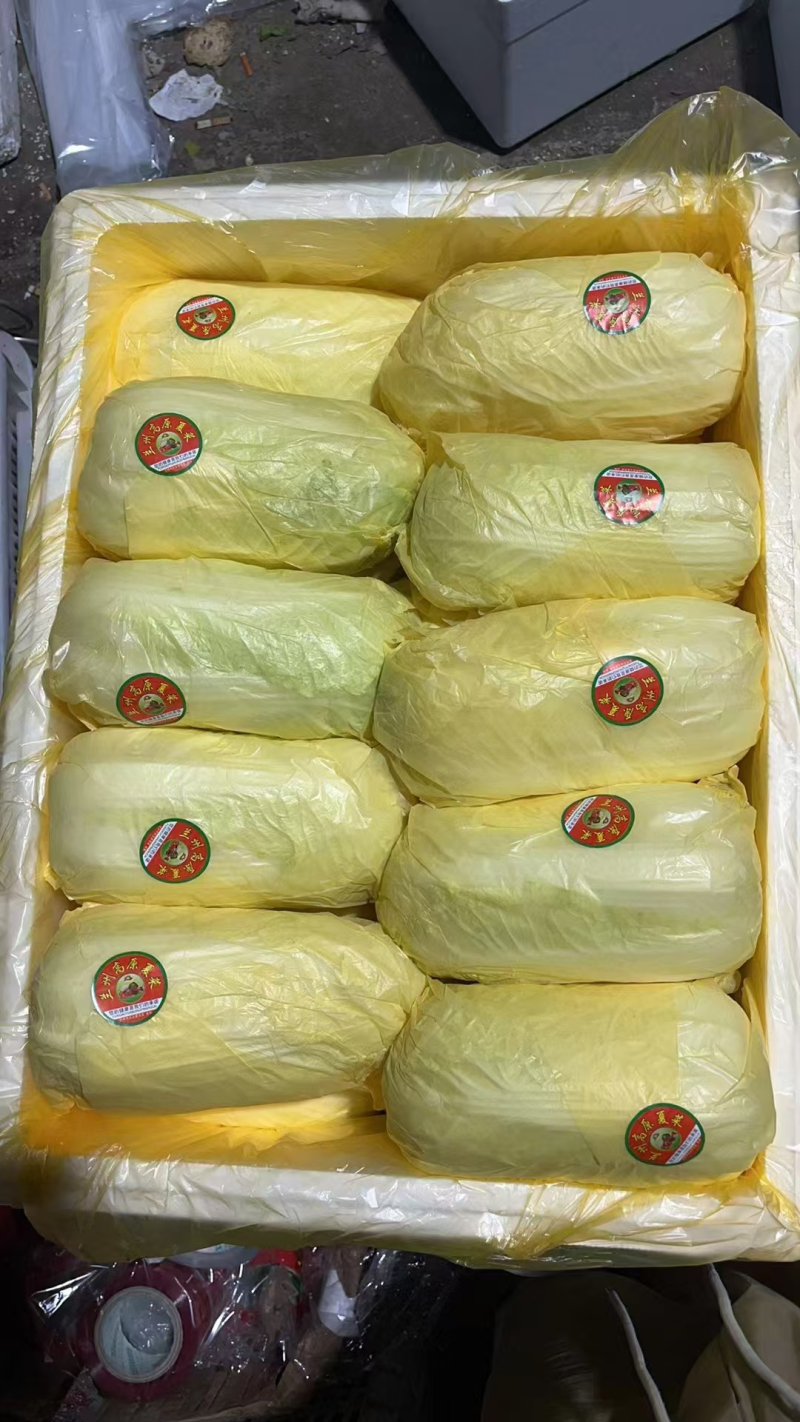 黄心大娃娃菜精品娃娃菜保质保量支持视频看货欢迎订购