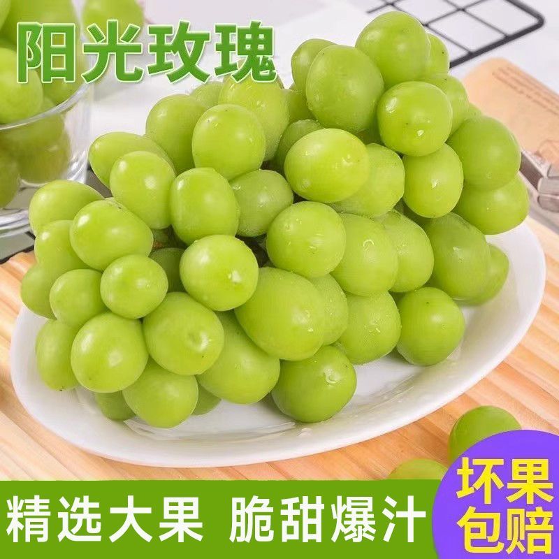 【热卖】阳光玫瑰精品葡萄现货大量供应对接各地客商诚信经营