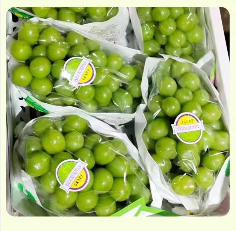 【热卖】阳光玫瑰精品葡萄现货大量供应对接各地客商诚信经营