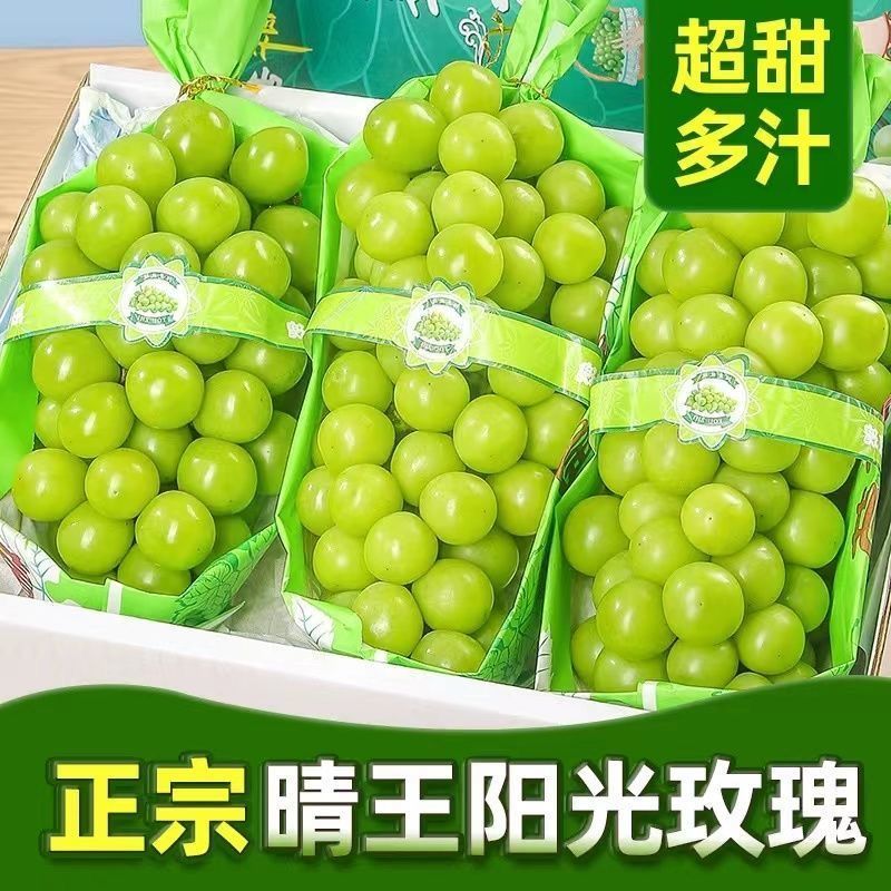 【热卖】阳光玫瑰精品葡萄现货大量供应对接各地客商诚信经营