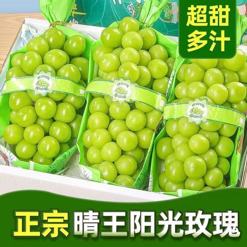 【热卖】阳光玫瑰精品葡萄现货大量供应对接各地客商诚信经营