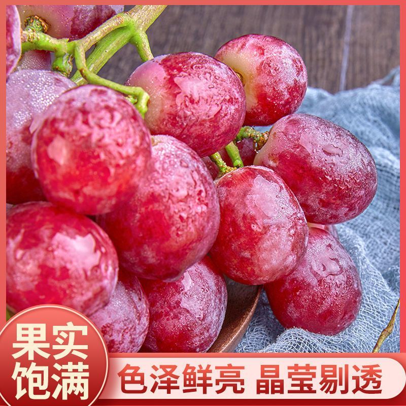 【热卖】克伦生葡萄精品葡萄大量供应价格合适对接电商市场