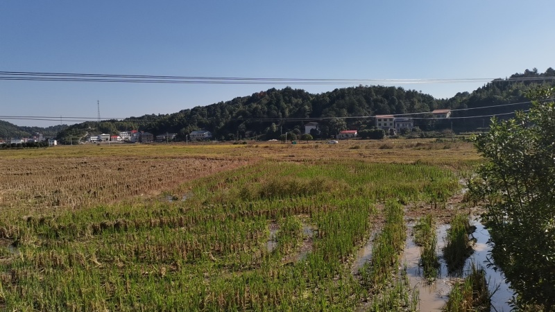优质耕地