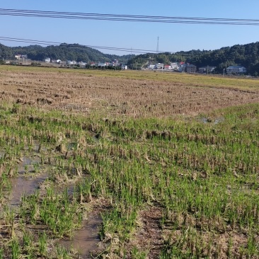 优质耕地
