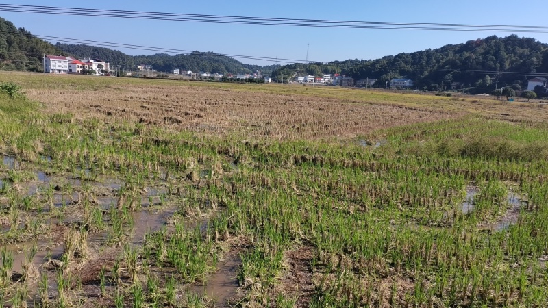优质耕地