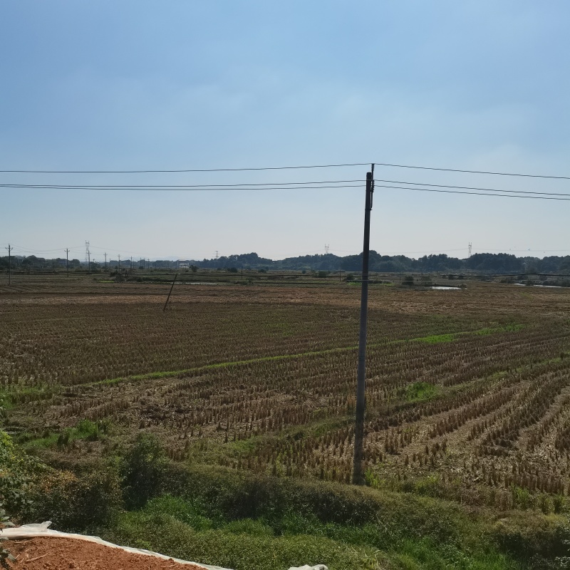 优质耕地