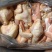 二级中装鸡