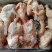 二级中装鸡