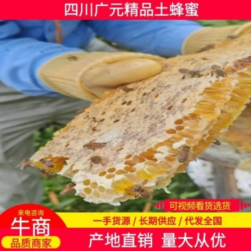 【土蜂蜜】四川蜂蜜/深山蜂蜜/假一赔十/无任何添加