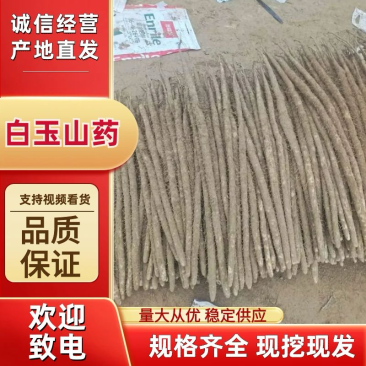 白玉山药，精品货，大通货，应有尽有，价格可洽谈，品质保证