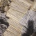 白玉山药，精品货，大通货，应有尽有，价格可洽谈，品质保证
