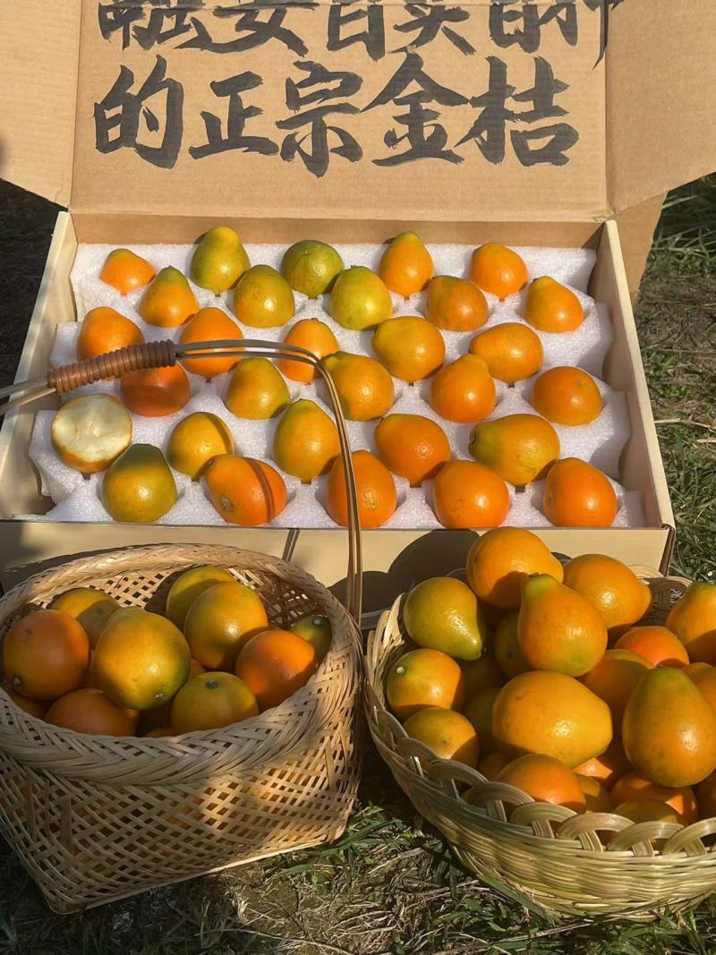 金桔
