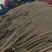 脆脆的九斤黄山药，基地直采，欢迎采购。量大从优，货源充足