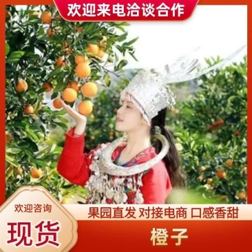 麻阳冰糖橙，大量对接电商平台社区团购批发市场商超代办