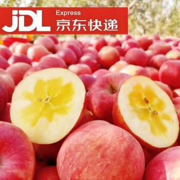 【一件代发】洛川苹果承接电商直播带货微商团购视频号等