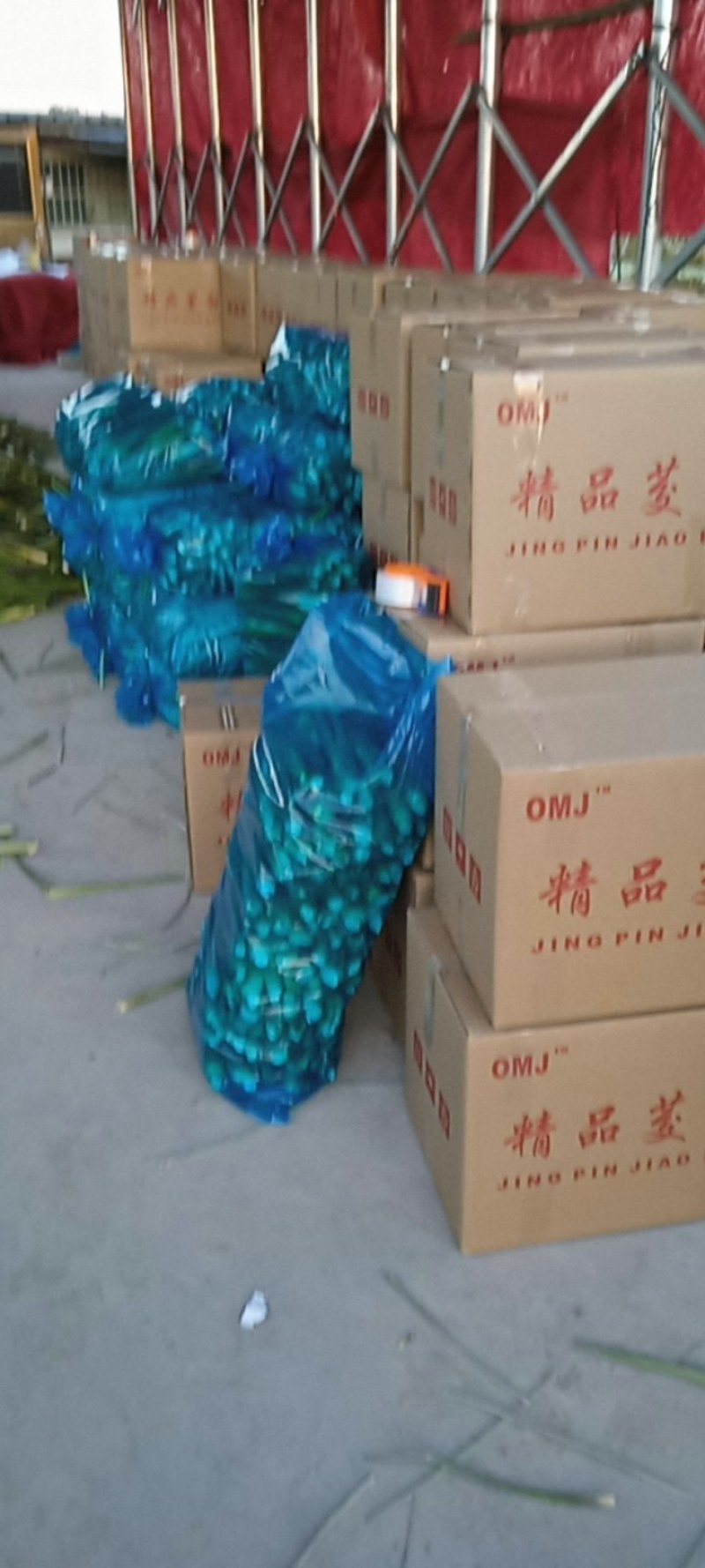 冬茭大量上市，精品茭电商货可持续整车供应，欢迎洽谈合作