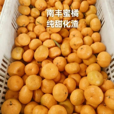 南丰蜜橘，纯甜化渣，汁水充足可视频看货