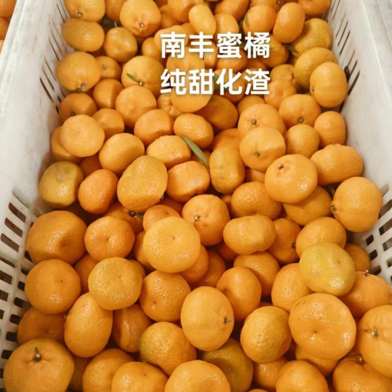 南丰蜜橘，纯甜化渣，汁水充足可视频看货