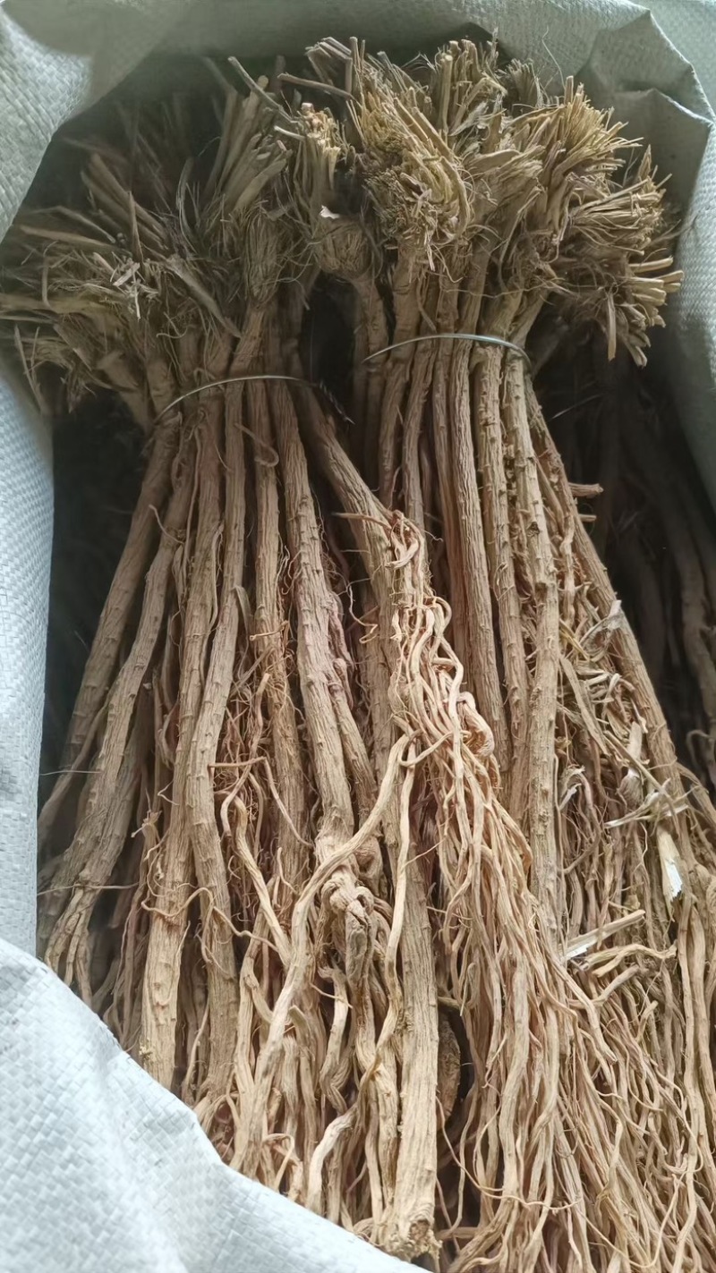 甘肃关防风精品防风大量供货品质保证诚信合作