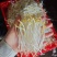 泉水甜口豆芽甜口