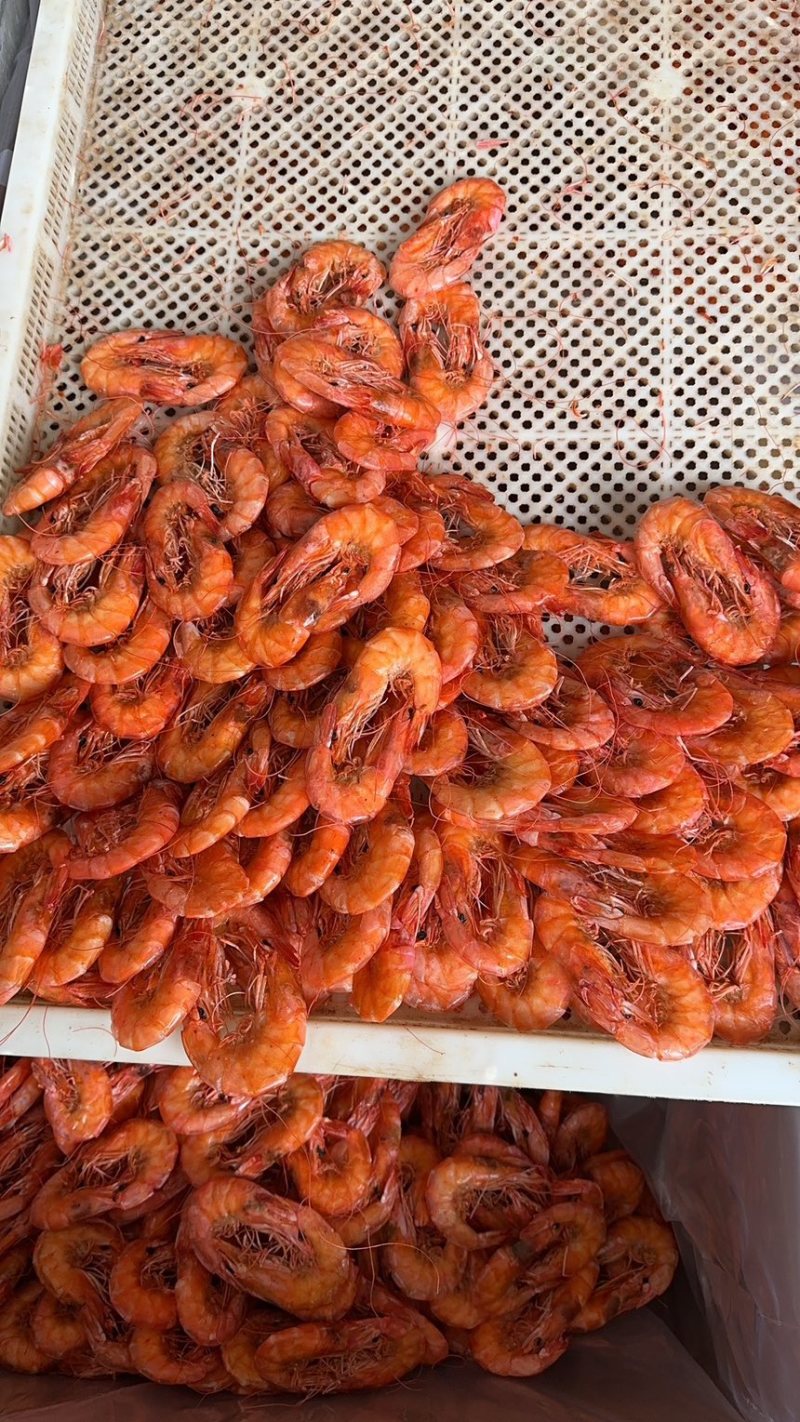 烤虾大量上市了价格优惠货源充足品质保证