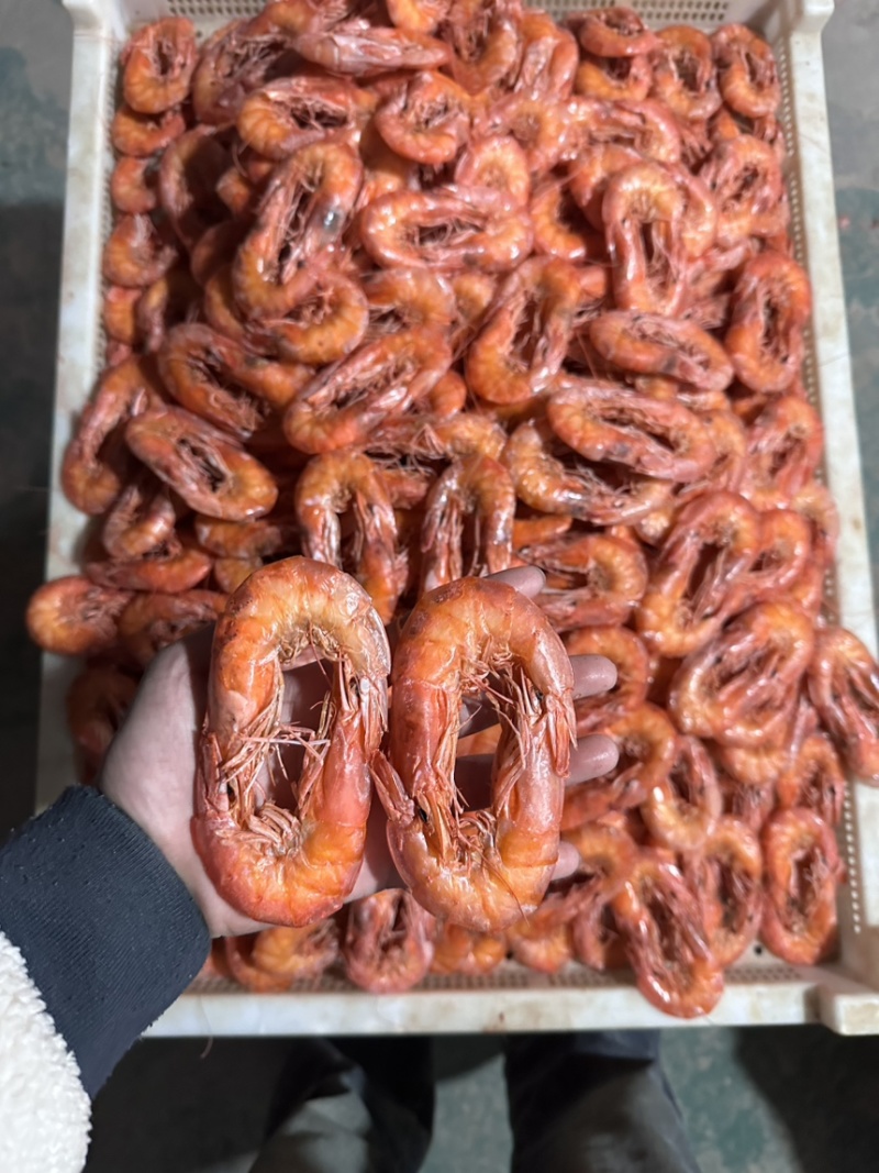 烤虾大量上市了价格优惠货源充足品质保证