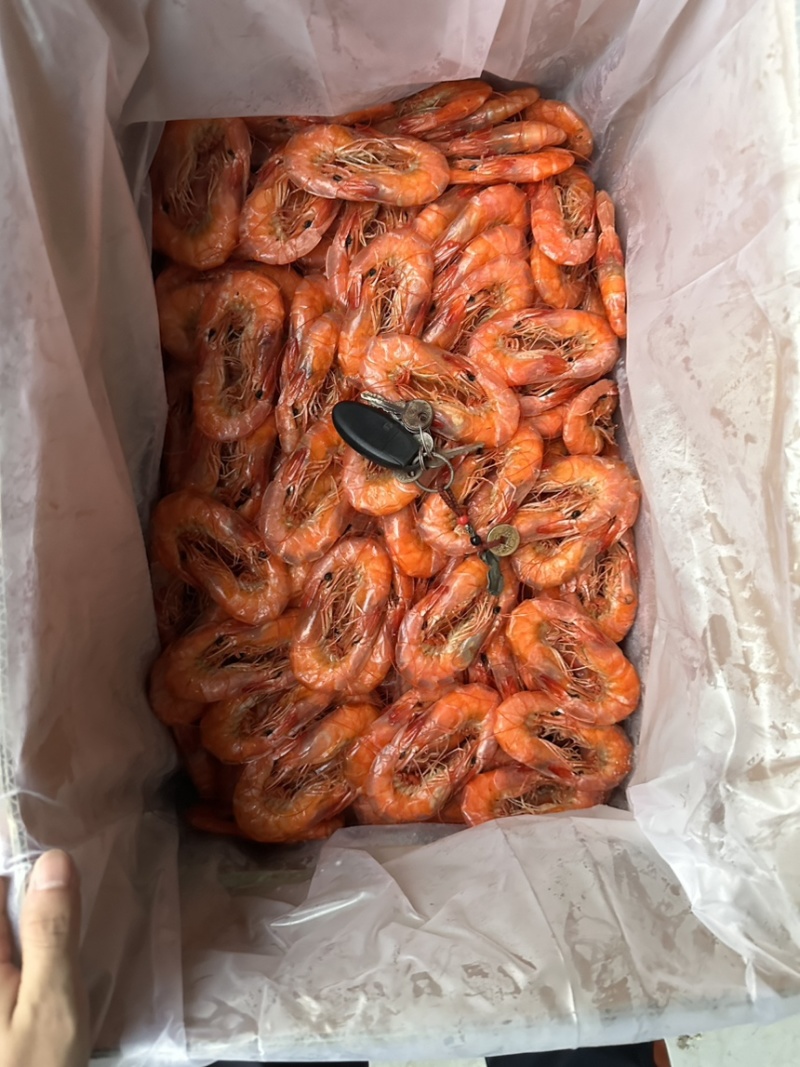 烤虾大量上市了价格优惠品质保证货源充足