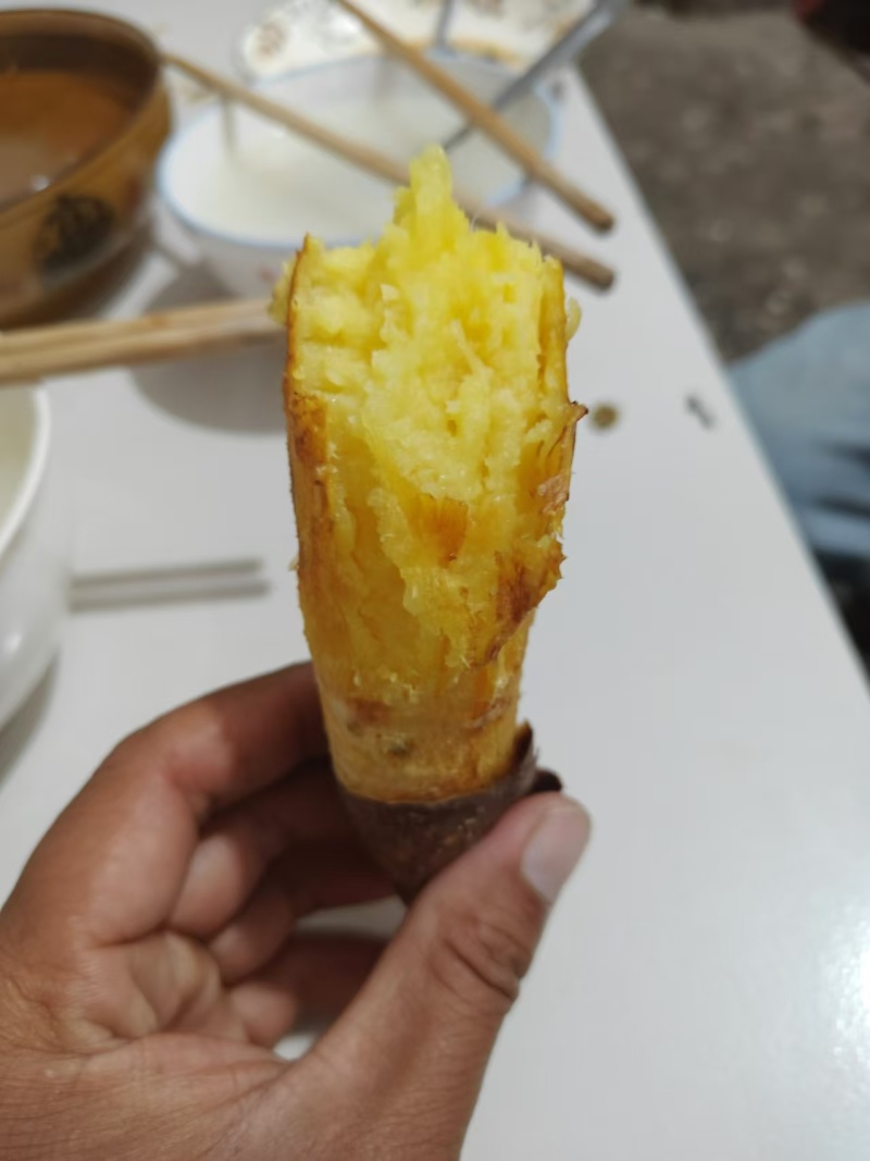 哈密红薯沙地红薯山东济宁红薯种植基地长期供货代发全国