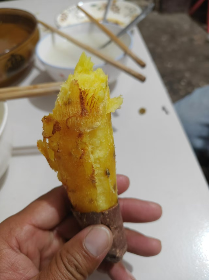 哈密红薯沙地红薯山东济宁红薯种植基地长期供货代发全国