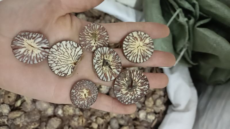 槟榔，新货上市，需要的老板放心联系我，