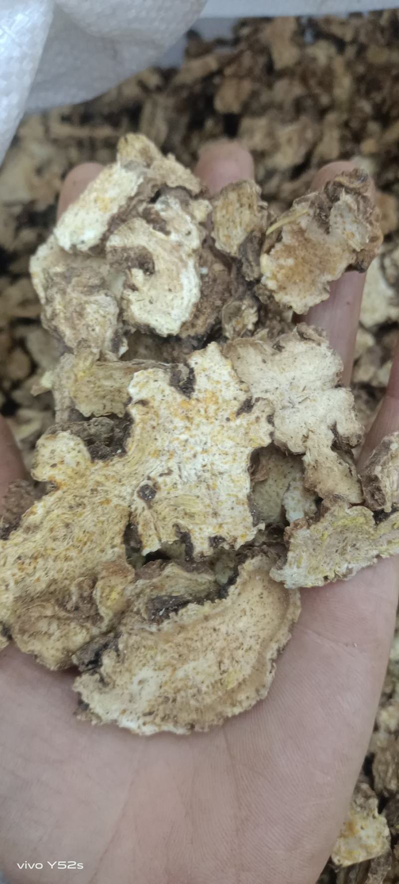 苍术，优质苍术，一手货源，需要的老板走过路过不要错过