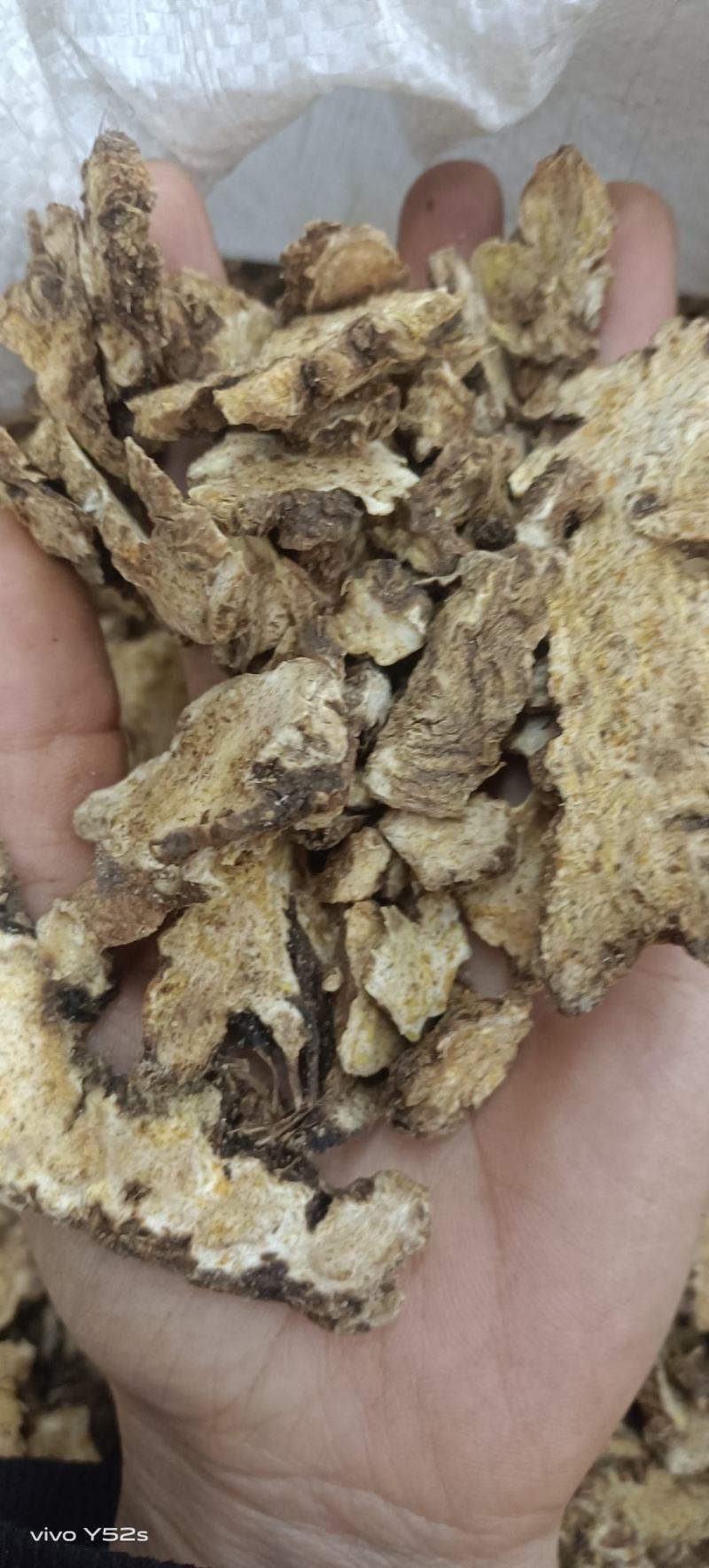 苍术，优质苍术，一手货源，需要的老板走过路过不要错过