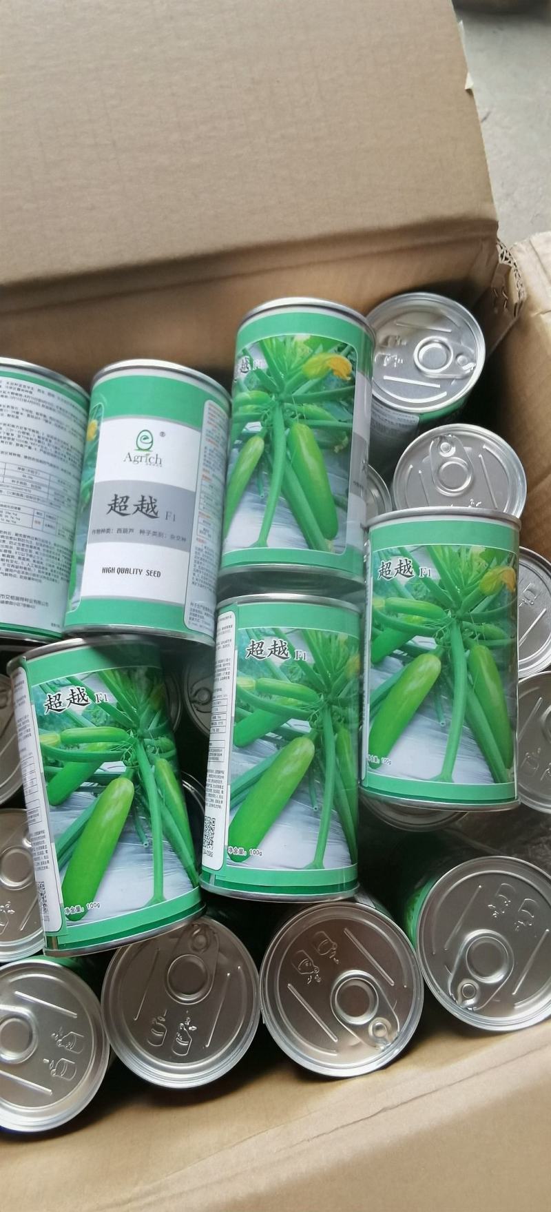 西葫芦种子超越翠绿色油亮瓜条整齐顺直耐寒越冬早春