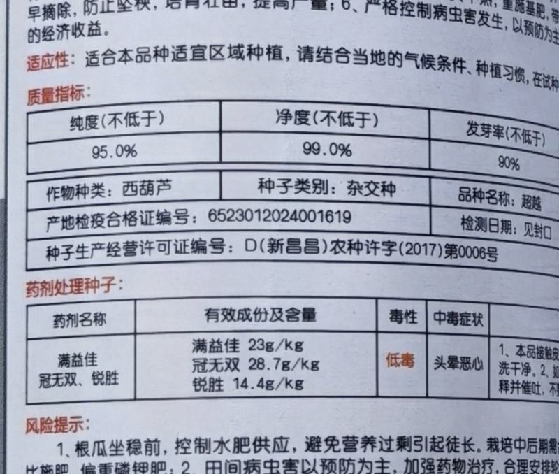 西葫芦种子超越翠绿色油亮瓜条整齐顺直耐寒越冬早春