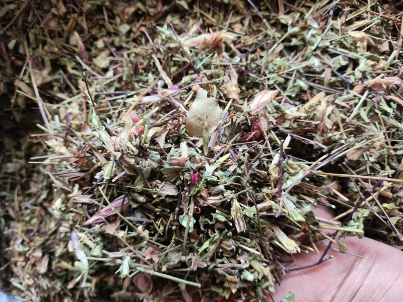 龙胆草野生龙胆草产地直供量大从优欢迎咨询