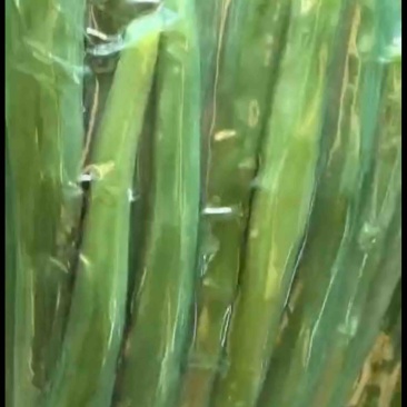 莴笋肉