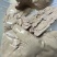 鸭肝，五香鸭肝、麻辣鸭肝、个头大、平均100左右一个