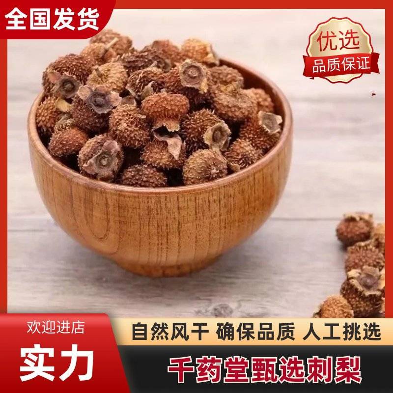 【实力商家】甄选刺梨自然风干确保品质全国发货包邮