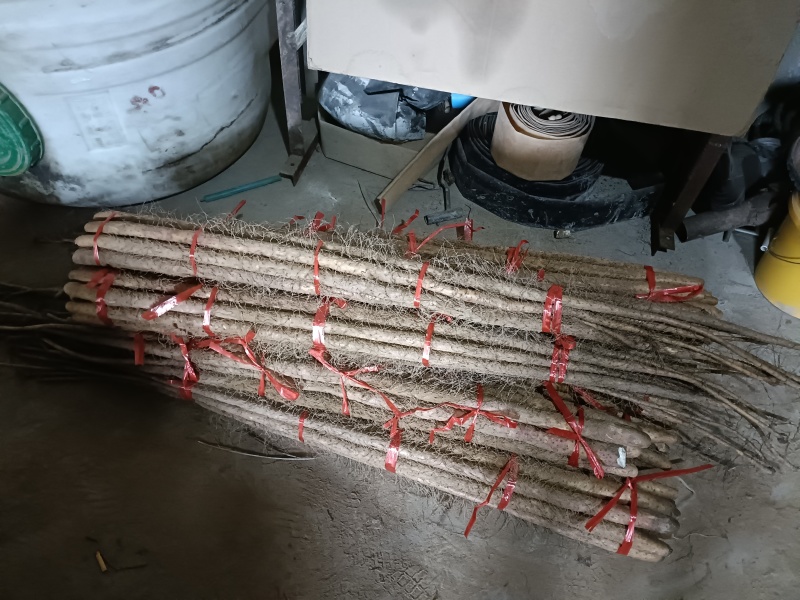 新铁棍山药，红皮，干面，营养价值高。