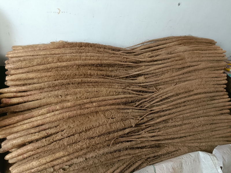 新铁棍山药，红皮，干面，营养价值高。