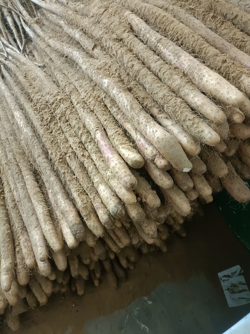 新铁棍山药，红皮，干面，营养价值高。
