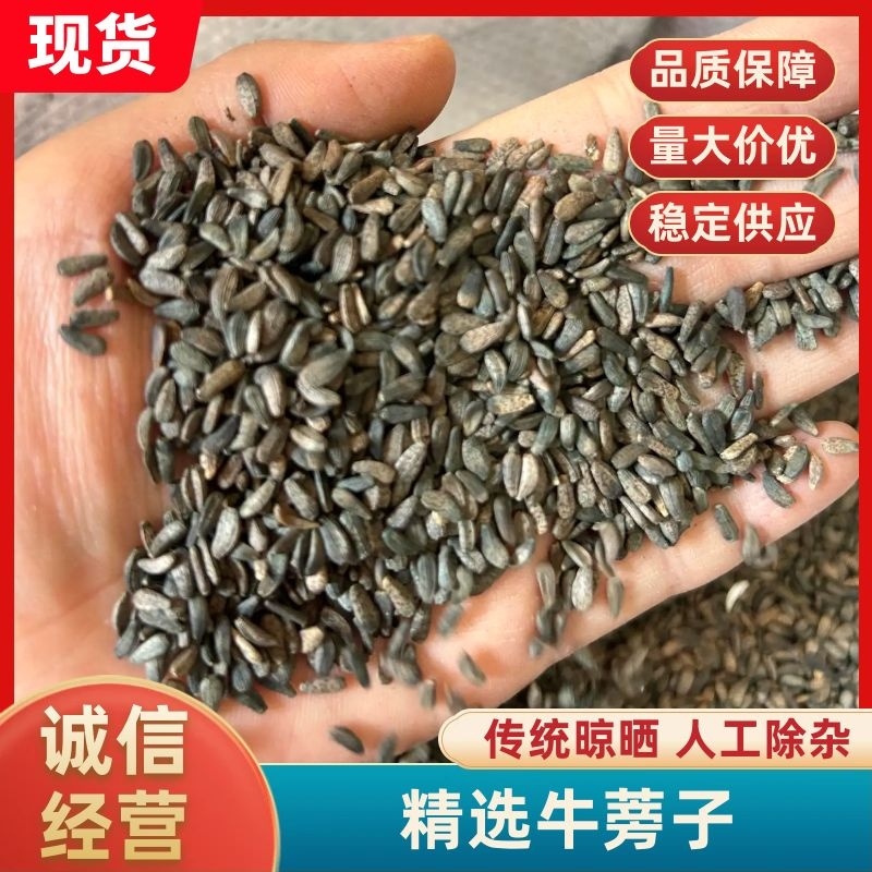 【诚信经营】精选牛蒡子传统晾晒人工除杂批发零售